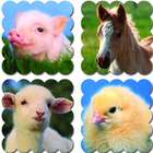 ERC Quality Baby Farm Animals Scent Baby By Creative Teaching Press