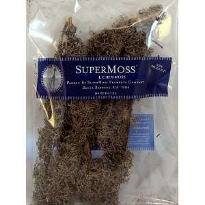  SuperMoss Lichen Moss Five 12 to 18 inch branches Kitchen 