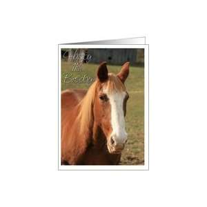  11th Birthday Horse Photo Card Card Toys & Games