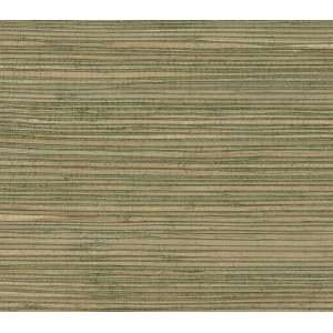 Seagrass Fine Weave Wallpaper DSG123 
