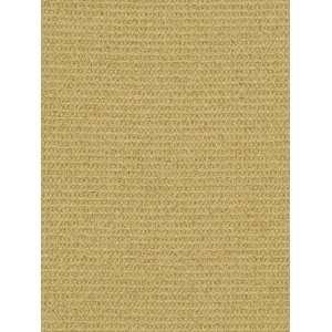  Beacon Hill BH Sisal Weave   Cashew Fabric Arts, Crafts & Sewing