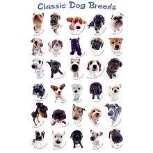 24 x 36 Poster   Dog Breeds   Eurographics   