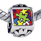 PUGSTER WORD AUTISM CHARM PHOTO BEAD BRACELET Y28