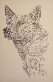 AUSTRALIAN CATTLE DOG ART Signed Edition Kline Print #159 DRAWN FROM 