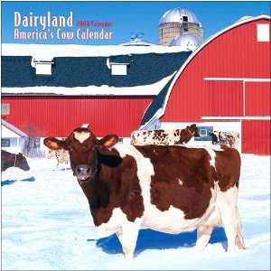    Dairyland Americas Cow 2008 Wall Calendar