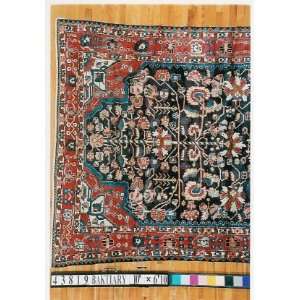    6x9 Hand Knotted Baktiary Persian Rug   67x99