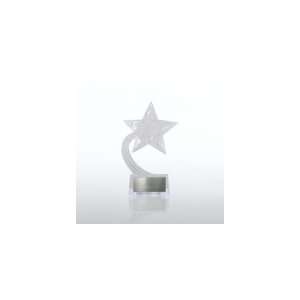  Student Trophy   Acrylic Shooting Star