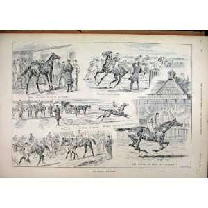   Middle Park Plate Horse Racing Orme Hatfield Print