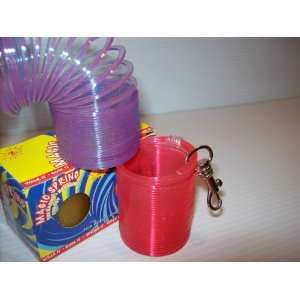  Novelty Slinky Key Chain Set 