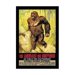  Los Animales del Universo 20x30 poster