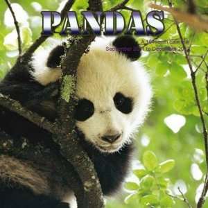  Pandas 2012 Wall Calendar