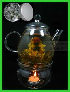 Glass Teapot 23oz+warmer+12Blooming Flower tea tin Gift  