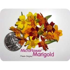 Edible Flower   Micro Marigold   4 x 200 Count  Grocery 