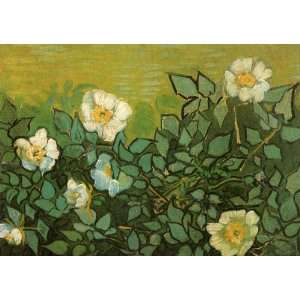  Oil Painting Wild Roses Vincent van Gogh Hand Painted 