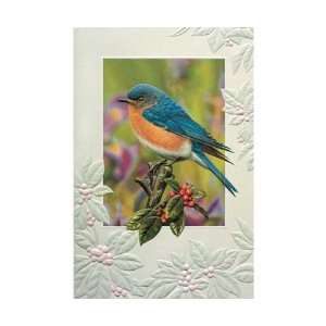   Berry Blue Bday   Everyday Greeting Cards. Pack of 6 
