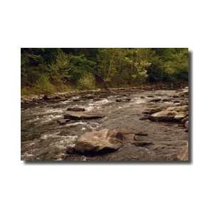 Bluestone River West Virginia Giclee Print