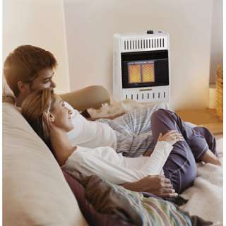 Vent Free Natural Gas Wall Heater~Radiant Room Heat  