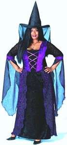 Costumes Sabrina Witch Costume Dress Purple Plus Sz  
