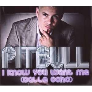 Know You Want Me (Calle Ocho) Pitbull  Musik