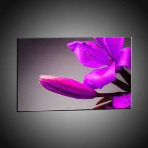 Kunstdruck Schöne exotische violette Blume Kunstdruck in 60x80 cm 