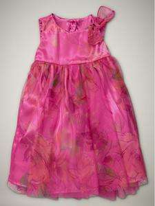NWT Baby Gap I Want Candy Etched Rose Party Dress 2T 3T 4T 5T 12 18 18 