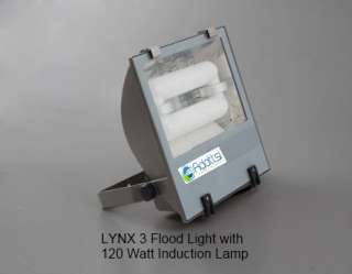 LVD 0553 1 Energy Saving Induction Floodlight 40w Lamp  