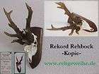 World record Roe Deer Antlers COPIE idea 810g 25.19 items in SHOP 