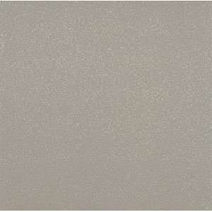  American Olean Quarry Naturals Abrasive 8 x 8 Shadow Gray 