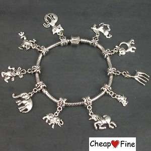 Tibetan Silver mixed animal Charm dangle bead Bracelet  