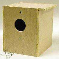 North American Pet Wooden Cockatiel Nesting Box For Us  
