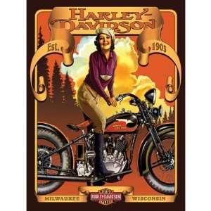  Harley Davidson Classic Beauty Jigsaw Puzzle 500pc Toys & Games