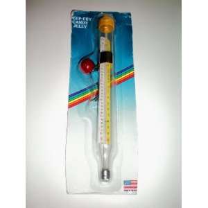 Deep Fry, Candy, Jelly Thermometer    New in Factory Packaging