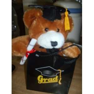   Teddy Bear in a Bag with Cap, Diploma & Tassle Toys & Games