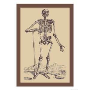   Shovel Giclee Poster Print by Andreas Vesalius, 12x16