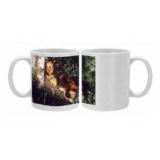 Photo Mugs of AU 1191 Goodfellows Tree Kangaroo   pair feeding in 