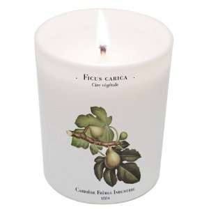  Ficus Carica (Fig Tree) Candle 6.7oz candle by Carriere 