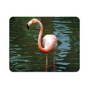  Flamingo Coasters