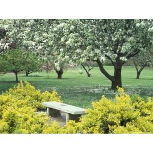  Flowering Trees with Memorial Bench, Yakima Area Arboretum 