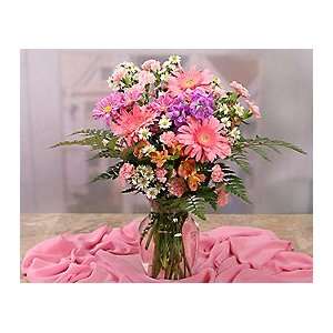 Color Burst Bouquet with Vase  Grocery & Gourmet Food