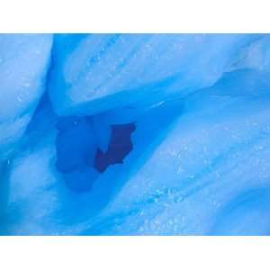 Blue Iceberg that calved from Columbia Glacier, Prince William Sound 
