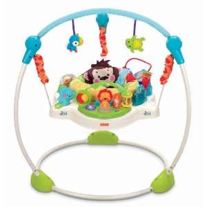  Fisher Price Precious Planet Blue Sky Jumperoo Baby