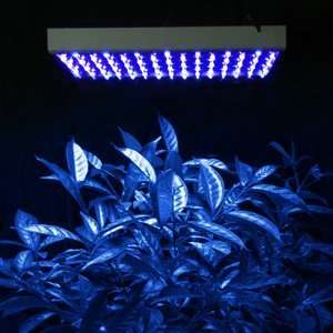 4pcs Indoor Garden 450nm High Power Blue Lamp Plant Grass Herb Flower 