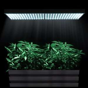   Grass Herb Flower Growing Grow LED Light Lamp Panel