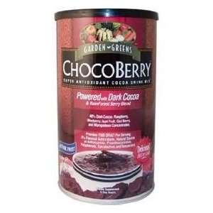  Garden Greens Chocoberry Cocoa Drink Mix, Size 700 Gm 