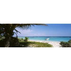  Palm Tree on the Beach, Caribbean Sea, Punta Bete, Yucatan 