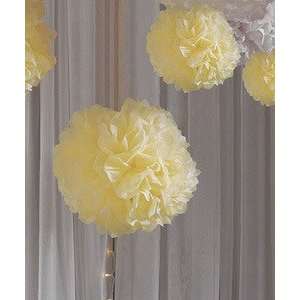   Peonies Tissue Paper Flowers (Small) Pkg of 6 Arts, Crafts & Sewing