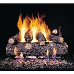   Vented Propane Gas Log Set W/ G45 Burner And Variable Flame Remote