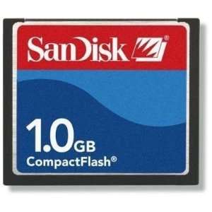  1GB Sandisk Compact Flash Memory Card (Bulk)