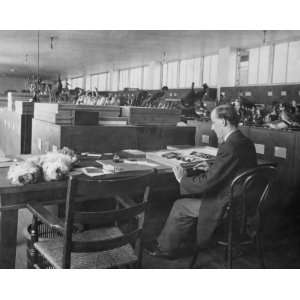  1911 photo Man seated at table examining birds in the Division 