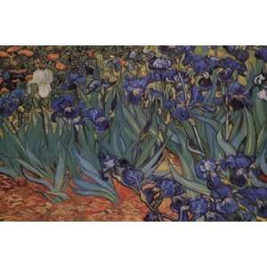 Irises, Saint Remy, c.1889   Poster by Vincent Van Gogh (36x24 